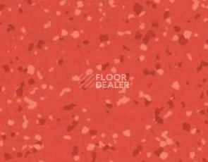 Линолеум Gerflor Taralay Premium Brazilia 4136 Sao Luis фото 1 | FLOORDEALER